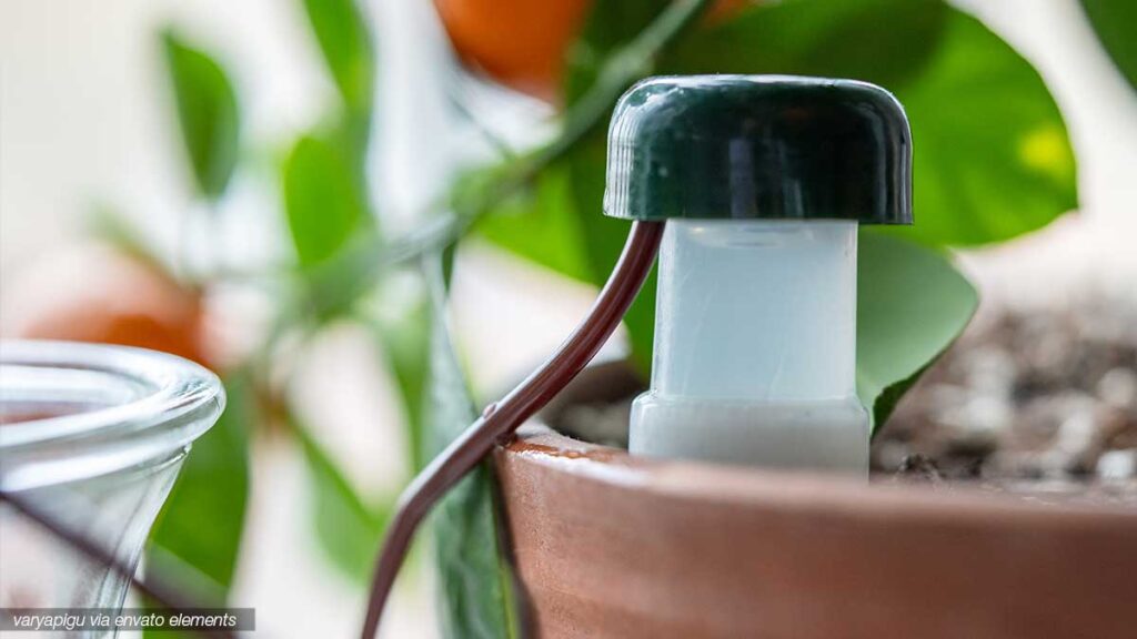 Bewässerungssysteme im Garten: Automatisch sparen und richtig gießen